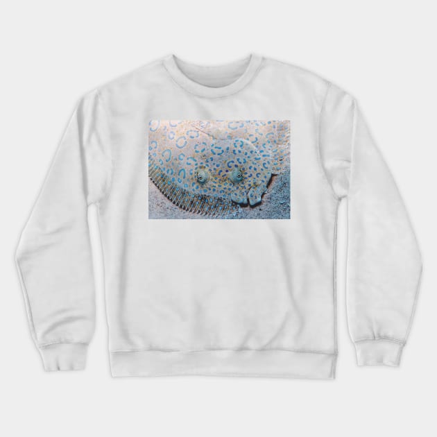 Flounder Crewneck Sweatshirt by Scubagirlamy